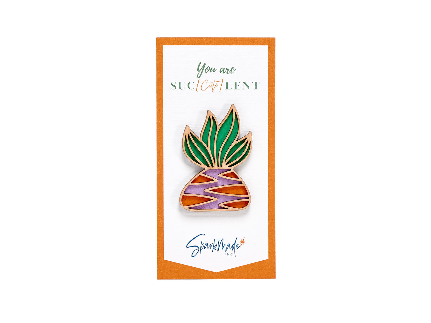 Succulent Hand Painted Magnets - 9 Different Designs!