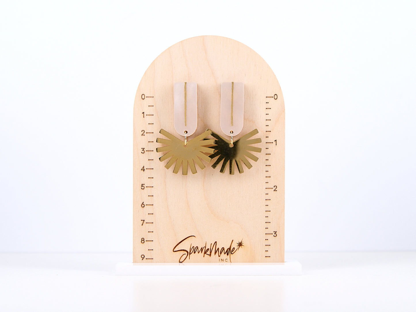Amaia Acrylic & Stainless Steel Earrings