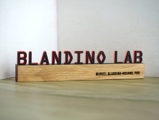 Double Layered Personalized Desk/Shelf Nameplate