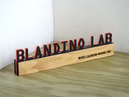 Double Layered Personalized Desk/Shelf Nameplate