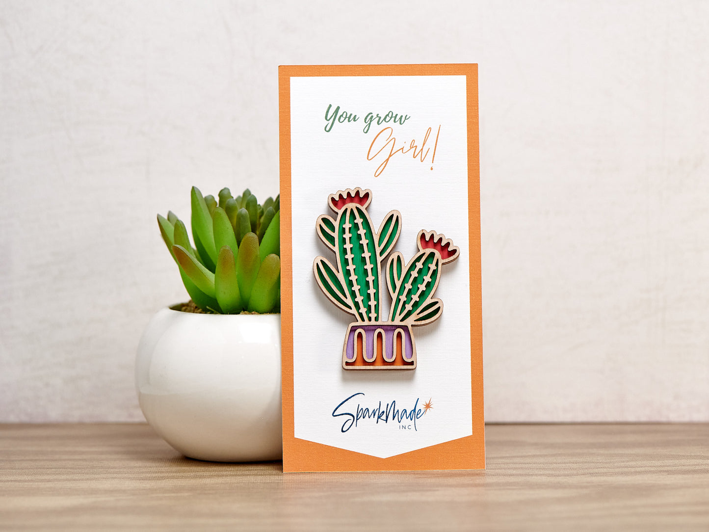 Succulent Hand Painted Magnets - 9 Different Designs!