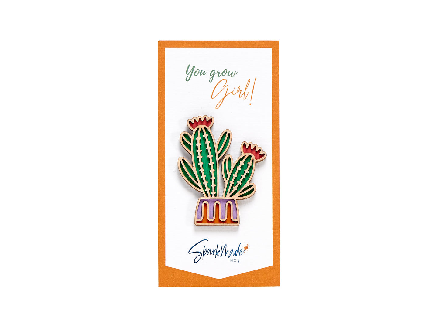 Succulent Hand Painted Magnets - 9 Different Designs!