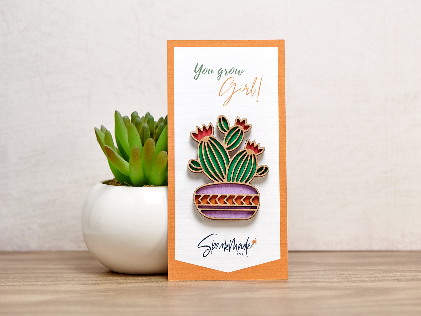 Succulent Hand Painted Magnets - 9 Different Designs!