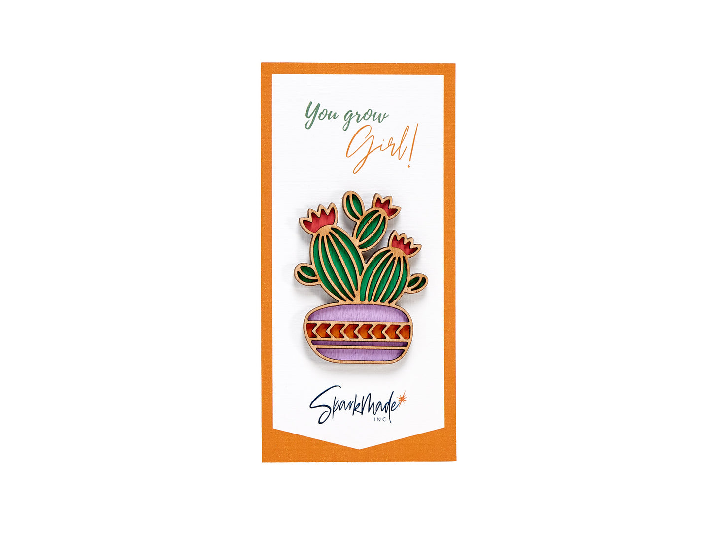 Succulent Hand Painted Magnets - 9 Different Designs!