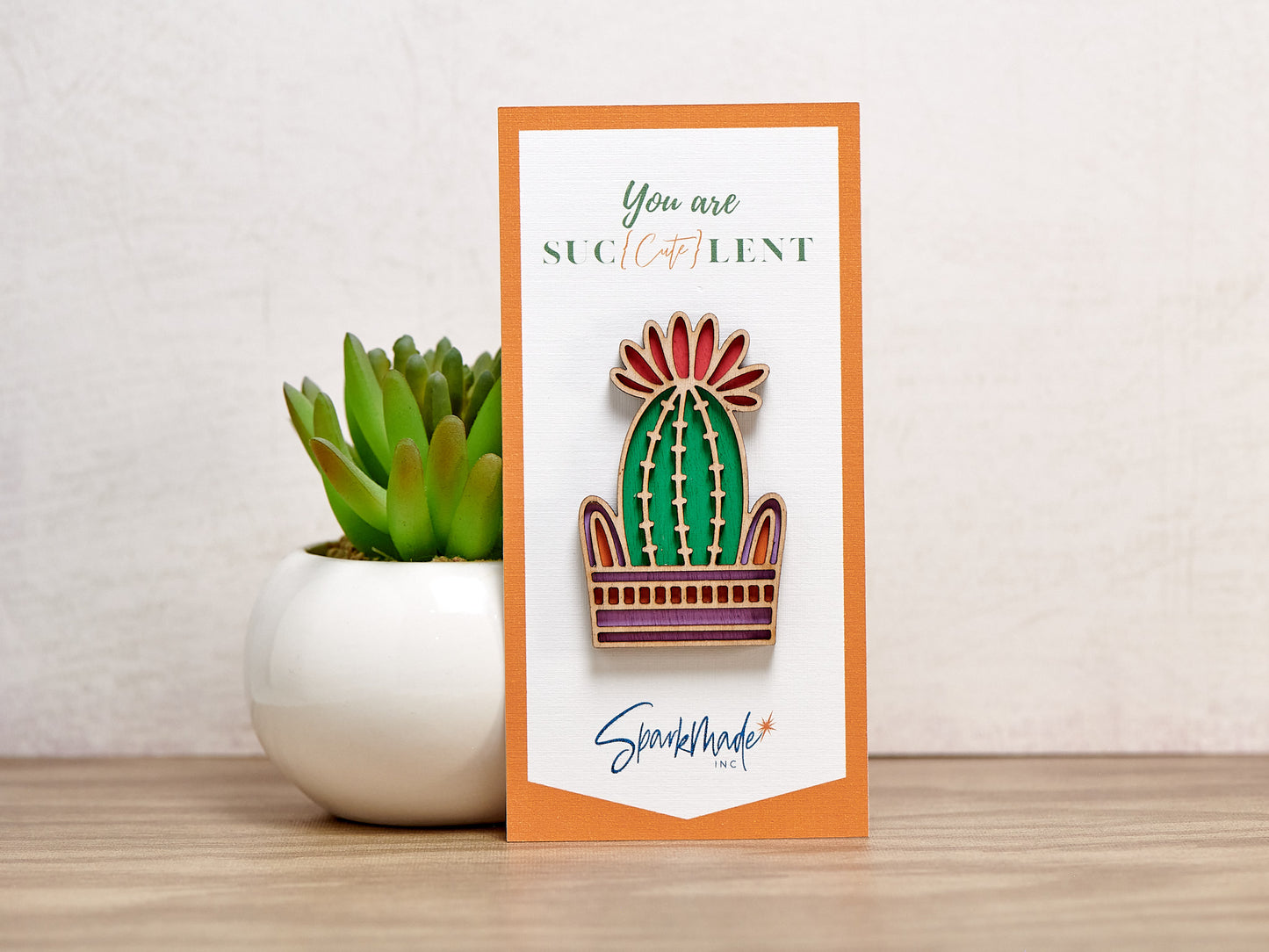 Succulent Hand Painted Magnets - 9 Different Designs!