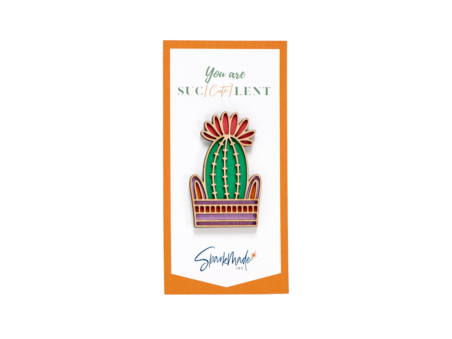 Succulent Hand Painted Magnets - 9 Different Designs!