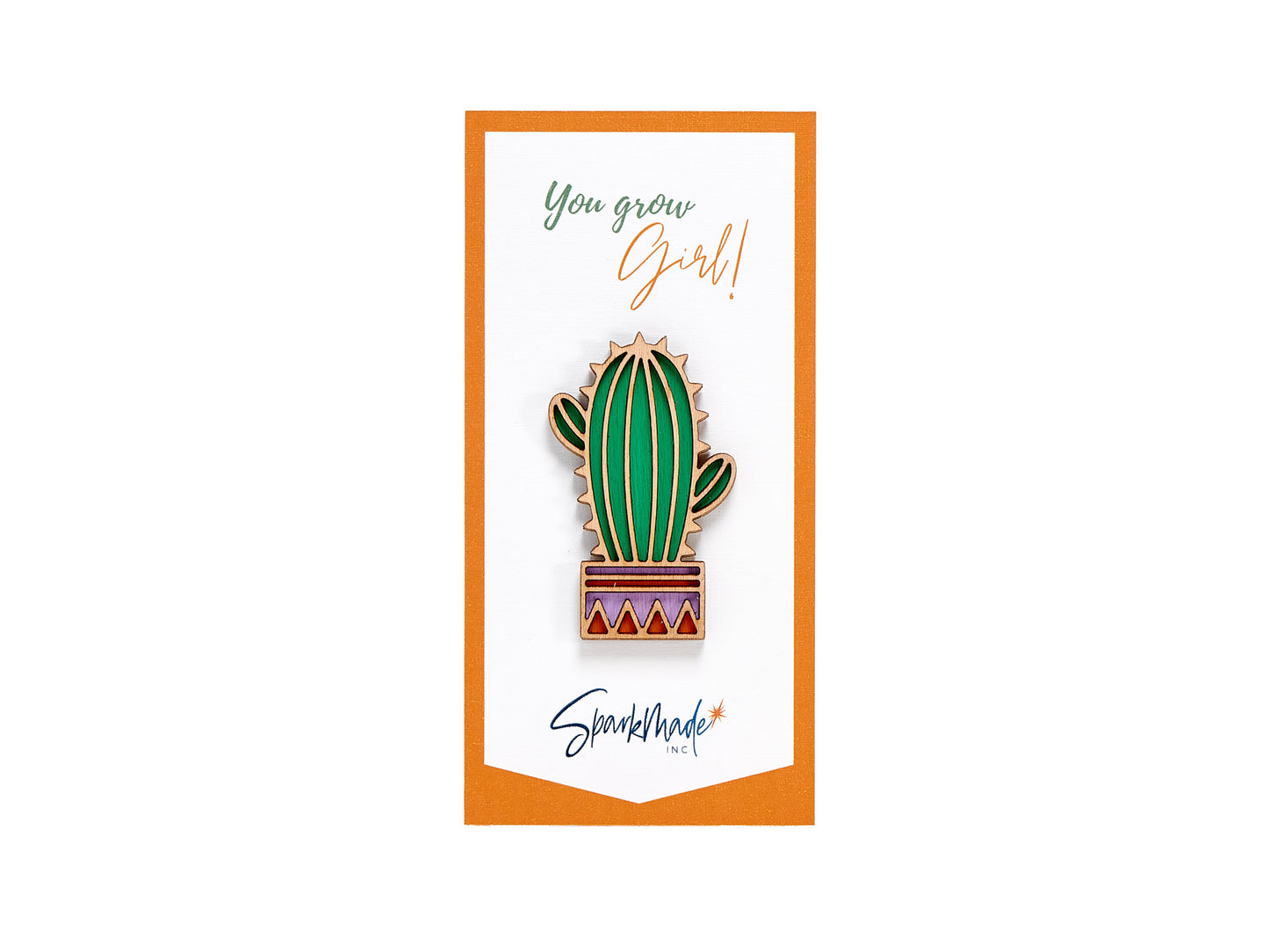 Succulent Hand Painted Magnets - 9 Different Designs!