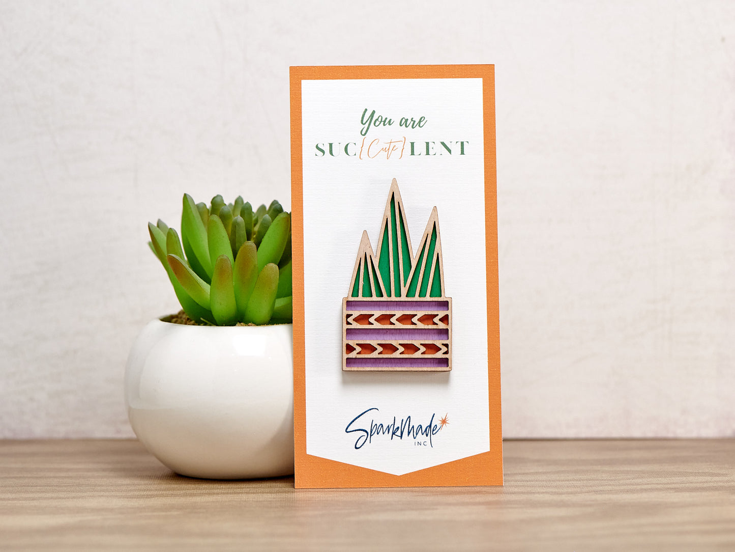 Succulent Hand Painted Magnets - 9 Different Designs!